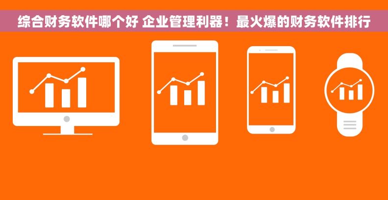 综合财务软件哪个好 企业管理利器！最火爆的财务软件排行