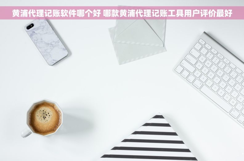 黄浦代理记账软件哪个好 哪款黄浦代理记账工具用户评价最好