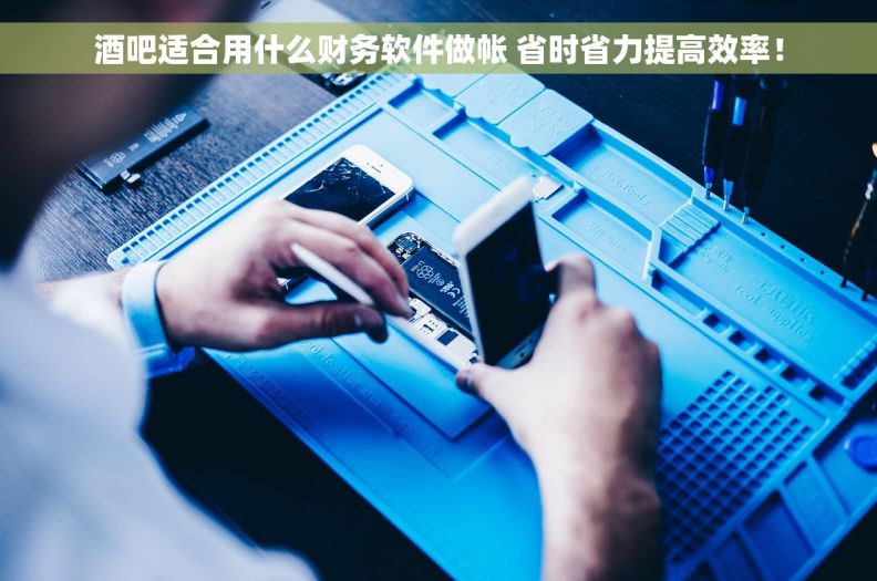 酒吧适合用什么财务软件做帐 省时省力提高效率！