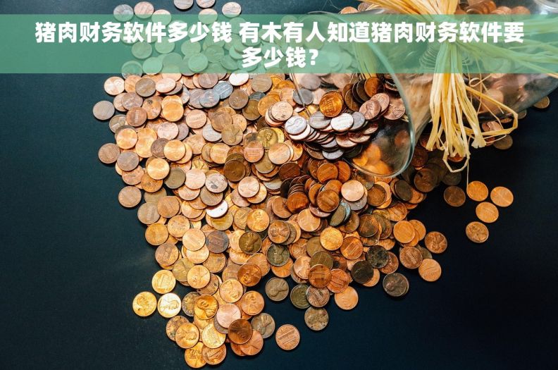 猪肉财务软件多少钱 有木有人知道猪肉财务软件要多少钱？