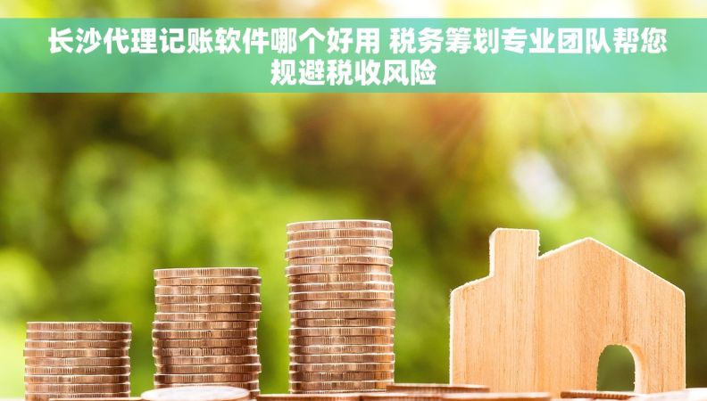 长沙代理记账软件哪个好用 税务筹划专业团队帮您规避税收风险