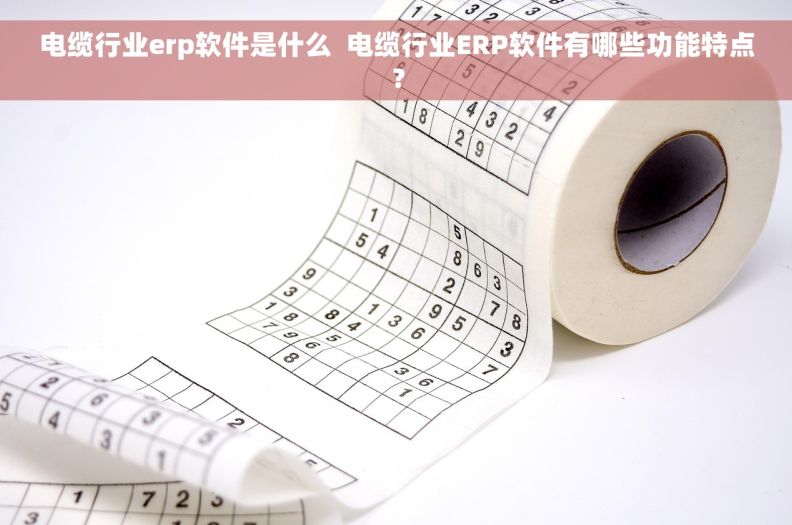 电缆行业erp软件是什么  电缆行业ERP软件有哪些功能特点？