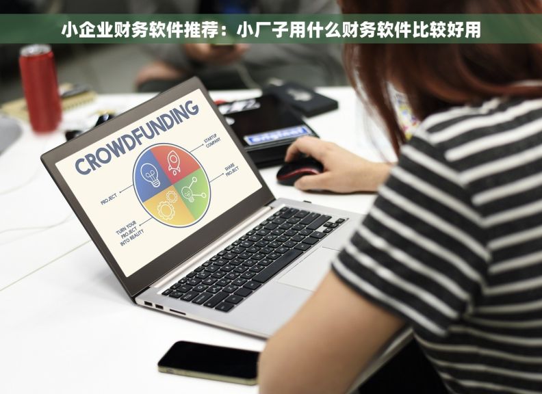 小企业财务软件推荐：小厂子用什么财务软件比较好用