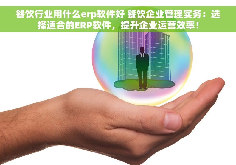 餐饮行业用什么erp软件好 餐饮企业管理实务：选择适合的ERP软件，提升企业运营效率！