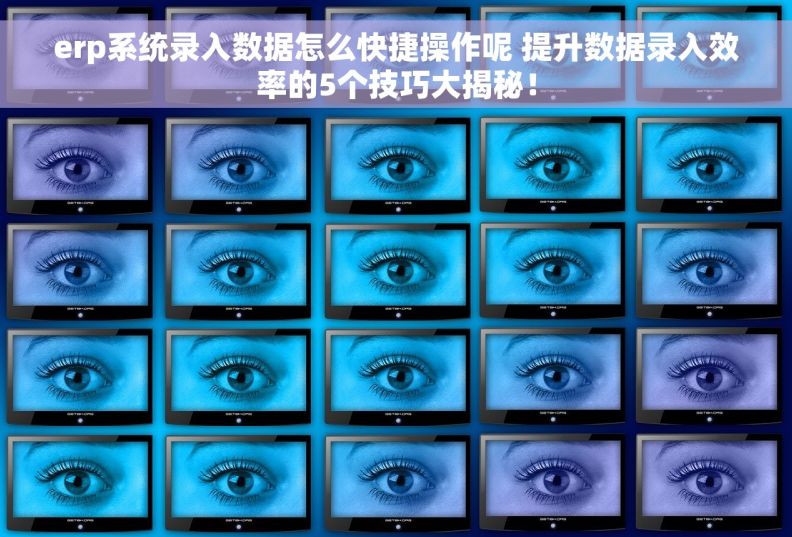 erp系统录入数据怎么快捷操作呢 提升数据录入效率的5个技巧大揭秘！