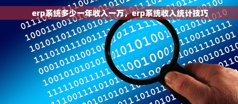  erp系统多少一年收入一万，erp系统收入统计技巧