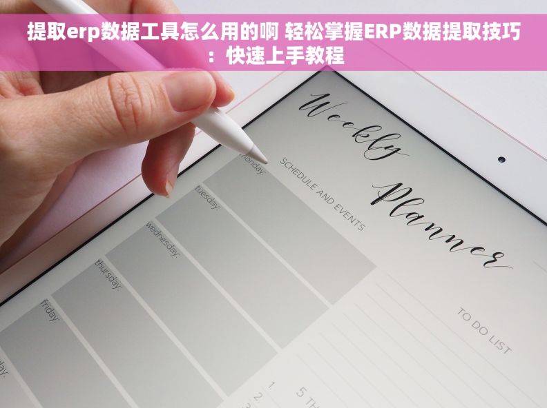 提取erp数据工具怎么用的啊 轻松掌握ERP数据提取技巧：快速上手教程