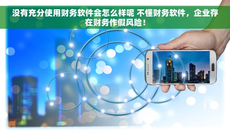 没有充分使用财务软件会怎么样呢 不懂财务软件，企业存在财务作假风险！
