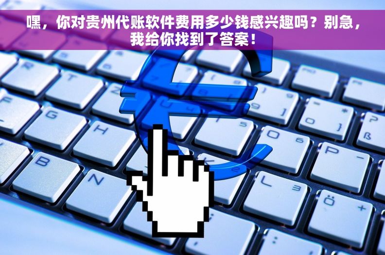 嘿，你对贵州代账软件费用多少钱感兴趣吗？别急，我给你找到了答案！