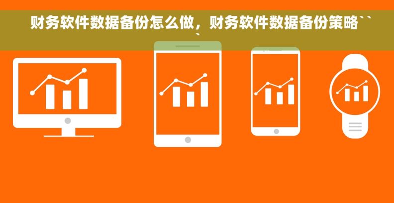   财务软件数据备份怎么做，财务软件数据备份策略```