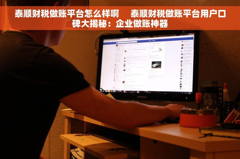 泰顺财税做账平台怎么样啊     泰顺财税做账平台用户口碑大揭秘：企业做账神器