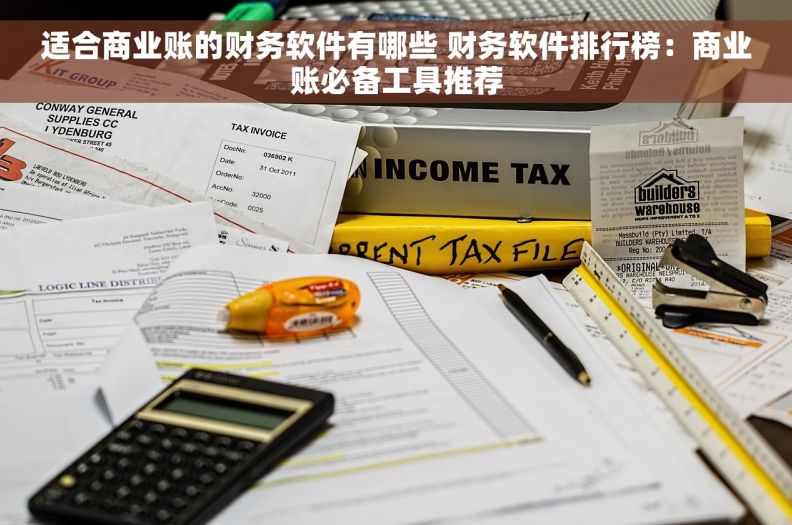 适合商业账的财务软件有哪些 财务软件排行榜：商业账必备工具推荐
