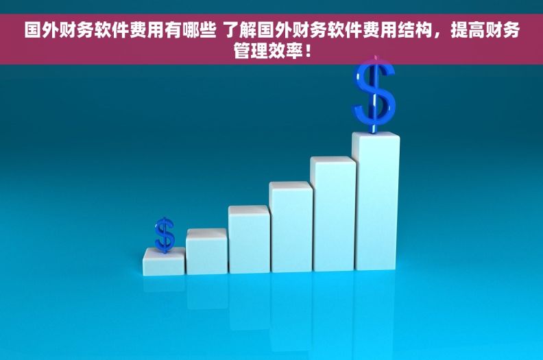 国外财务软件费用有哪些 了解国外财务软件费用结构，提高财务管理效率！