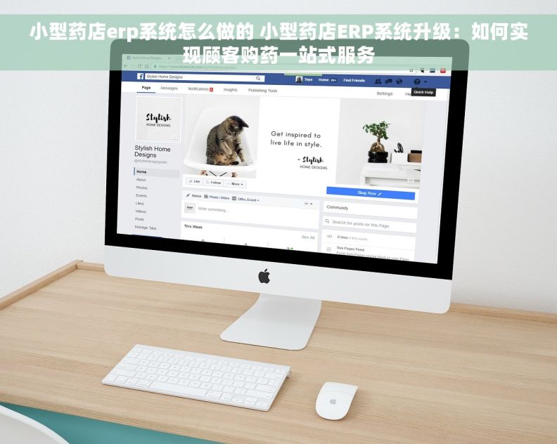 小型药店erp系统怎么做的 小型药店ERP系统升级：如何实现顾客购药一站式服务