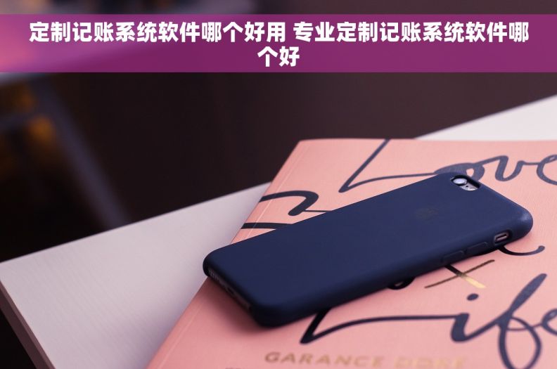 定制记账系统软件哪个好用 专业定制记账系统软件哪个好