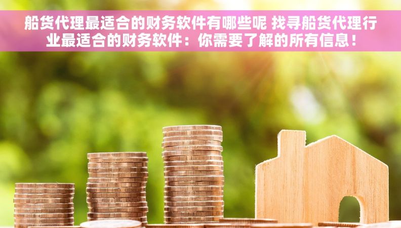 船货代理最适合的财务软件有哪些呢 找寻船货代理行业最适合的财务软件：你需要了解的所有信息！