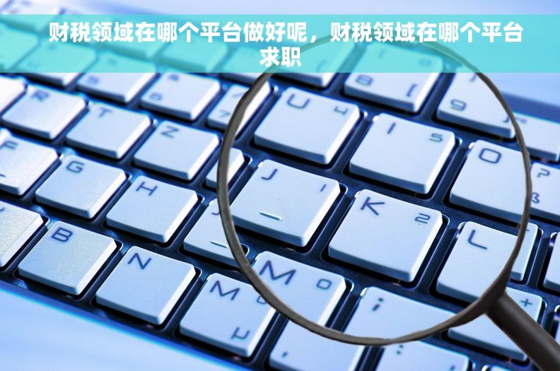   财税领域在哪个平台做好呢，财税领域在哪个平台求职