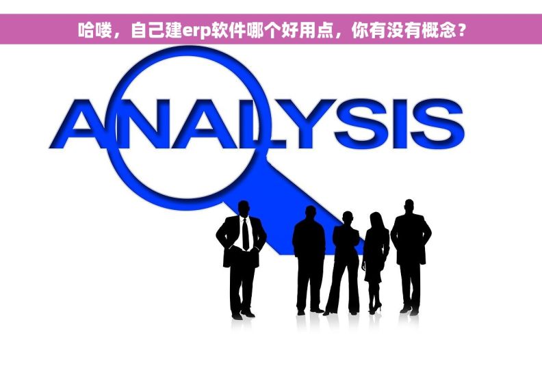 哈喽，自己建erp软件哪个好用点，你有没有概念？