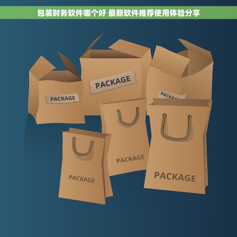 包装财务软件哪个好 最新软件推荐使用体验分享