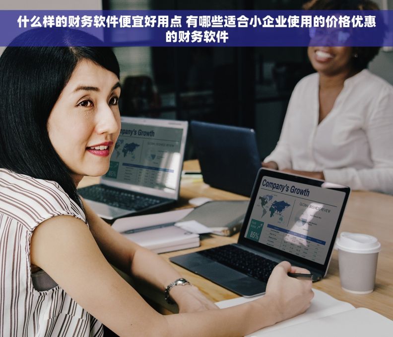 什么样的财务软件便宜好用点 有哪些适合小企业使用的价格优惠的财务软件