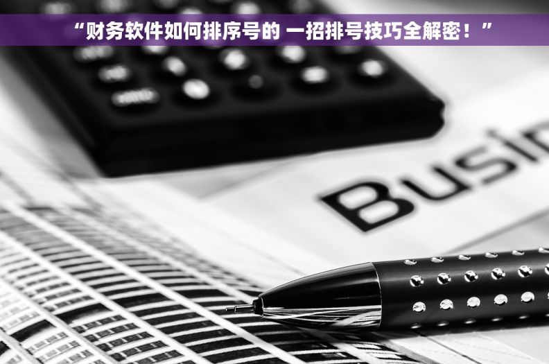 “财务软件如何排序号的 一招排号技巧全解密！”