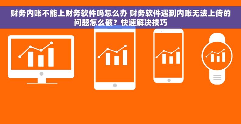 财务内账不能上财务软件吗怎么办 财务软件遇到内账无法上传的问题怎么破？快速解决技巧