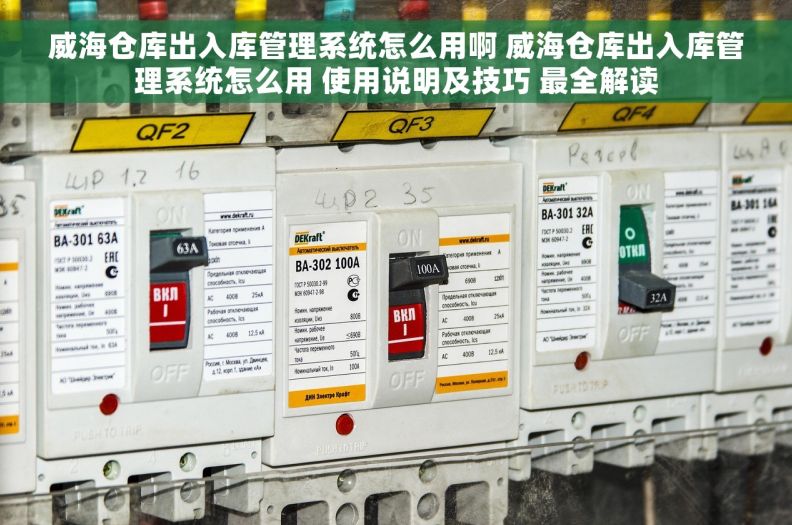 威海仓库出入库管理系统怎么用啊 威海仓库出入库管理系统怎么用 使用说明及技巧 最全解读