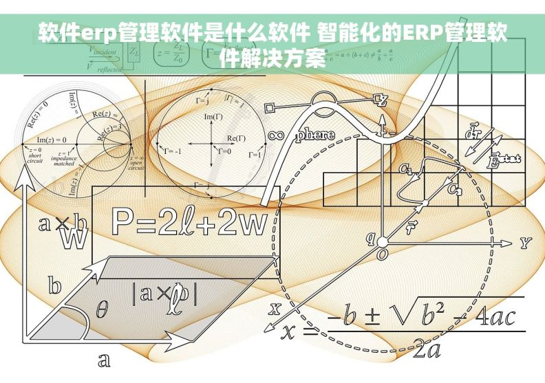 软件erp管理软件是什么软件 智能化的ERP管理软件解决方案