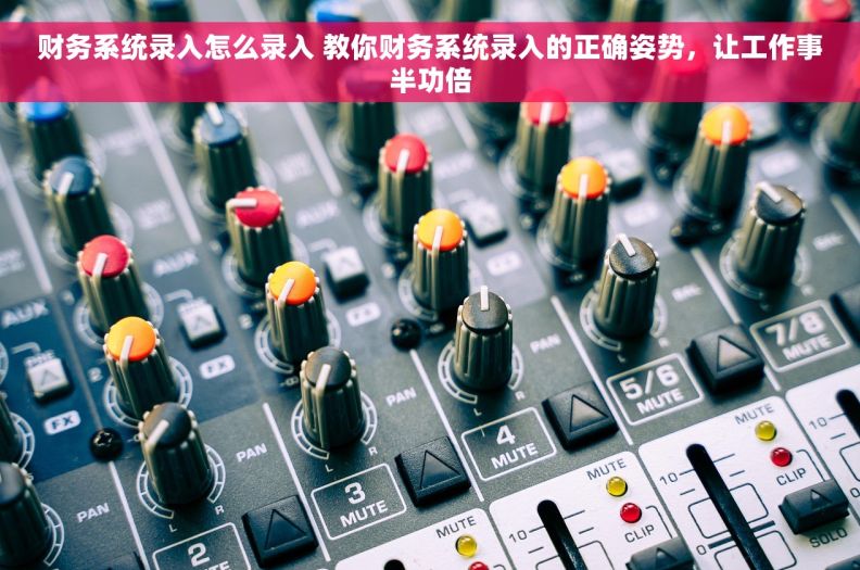 财务系统录入怎么录入 教你财务系统录入的正确姿势，让工作事半功倍