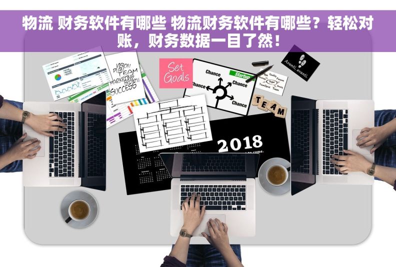 物流 财务软件有哪些 物流财务软件有哪些？轻松对账，财务数据一目了然！