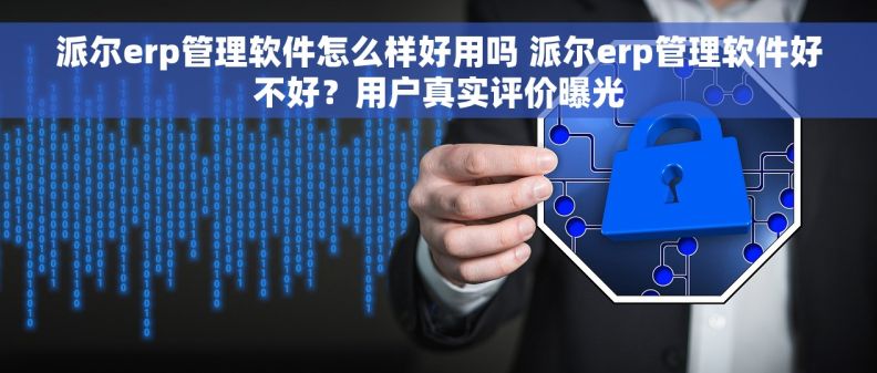派尔erp管理软件怎么样好用吗 派尔erp管理软件好不好？用户真实评价曝光