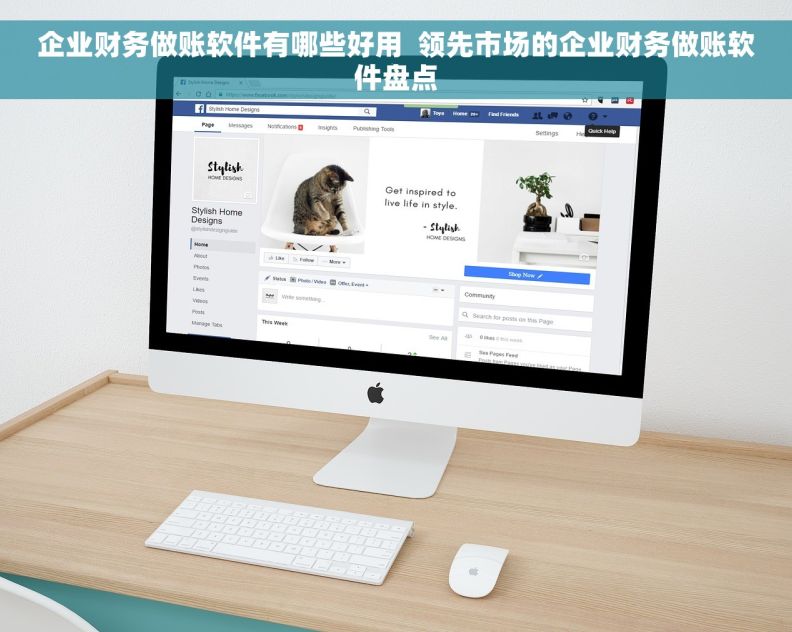 企业财务做账软件有哪些好用  领先市场的企业财务做账软件盘点