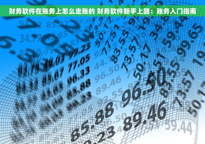 财务软件在账务上怎么走账的 财务软件新手上路：账务入门指南