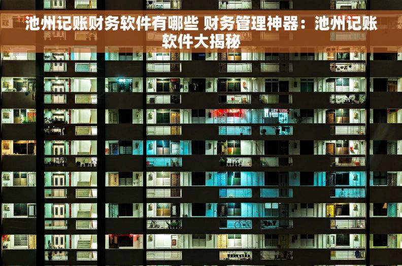 池州记账财务软件有哪些 财务管理神器：池州记账软件大揭秘