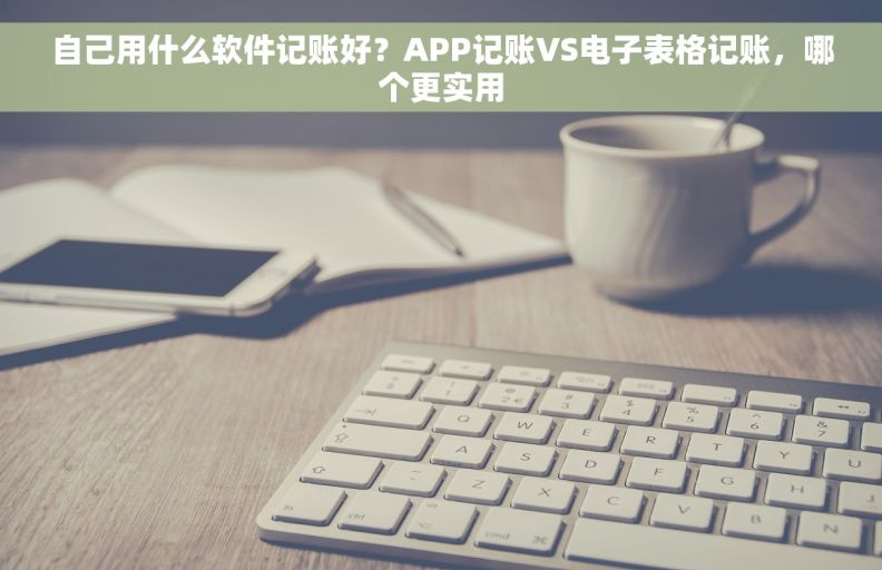 自己用什么软件记账好？APP记账VS电子表格记账，哪个更实用
