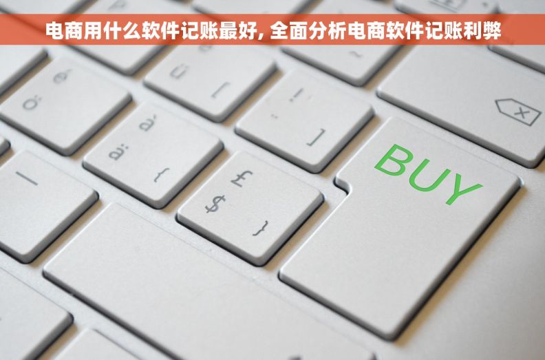 电商用什么软件记账最好, 全面分析电商软件记账利弊