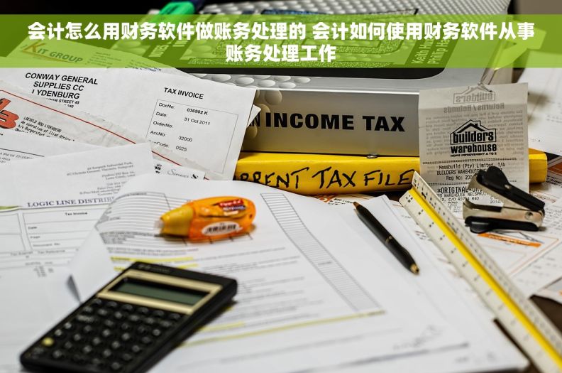 会计怎么用财务软件做账务处理的 会计如何使用财务软件从事账务处理工作
