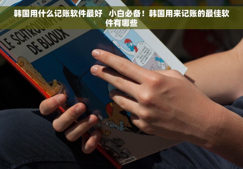 韩国用什么记账软件最好   小白必备！韩国用来记账的最佳软件有哪些