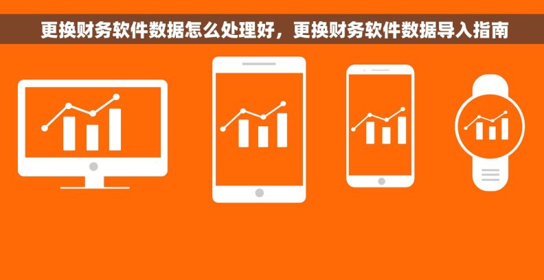  更换财务软件数据怎么处理好，更换财务软件数据导入指南