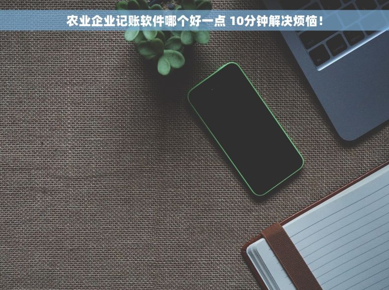 农业企业记账软件哪个好一点 10分钟解决烦恼！