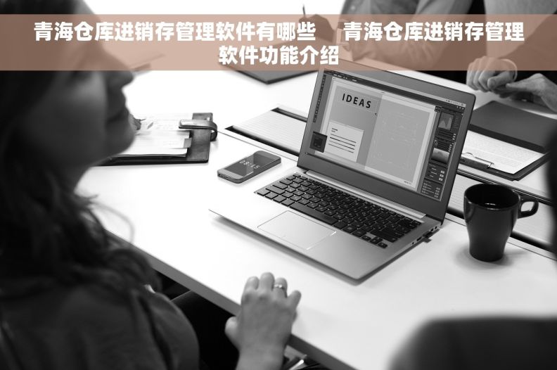 青海仓库进销存管理软件有哪些     青海仓库进销存管理软件功能介绍