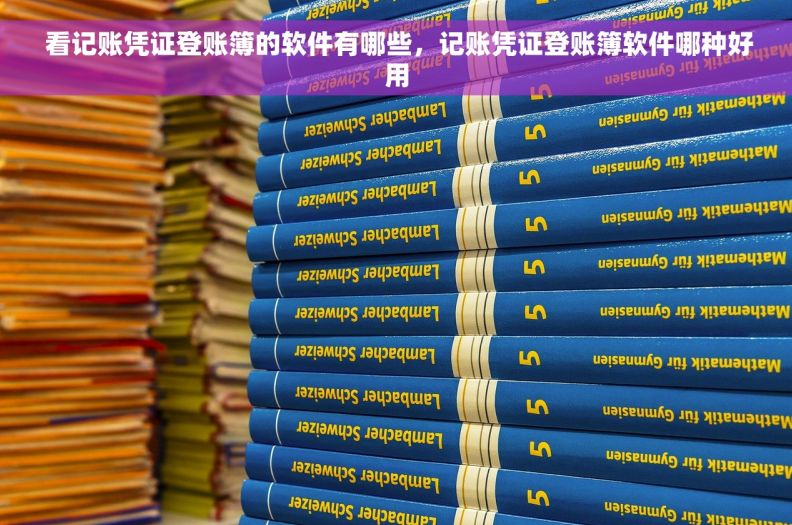  看记账凭证登账簿的软件有哪些，记账凭证登账簿软件哪种好用