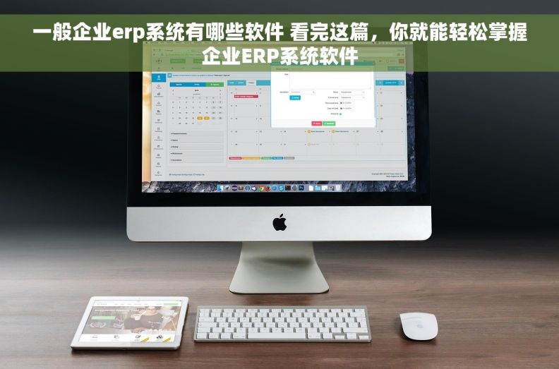 一般企业erp系统有哪些软件 看完这篇，你就能轻松掌握企业ERP系统软件