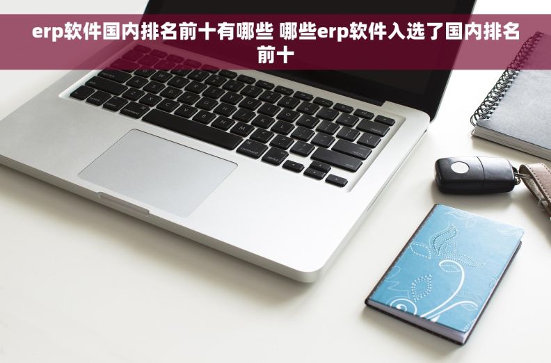 erp软件国内排名前十有哪些 哪些erp软件入选了国内排名前十