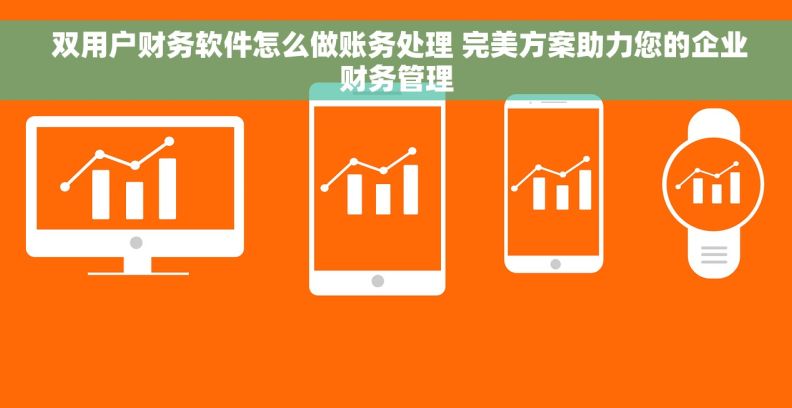  双用户财务软件怎么做账务处理 完美方案助力您的企业财务管理