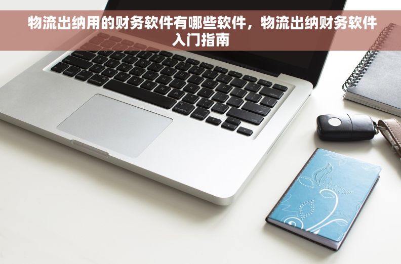  物流出纳用的财务软件有哪些软件，物流出纳财务软件入门指南