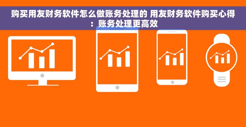购买用友财务软件怎么做账务处理的 用友财务软件购买心得：账务处理更高效
