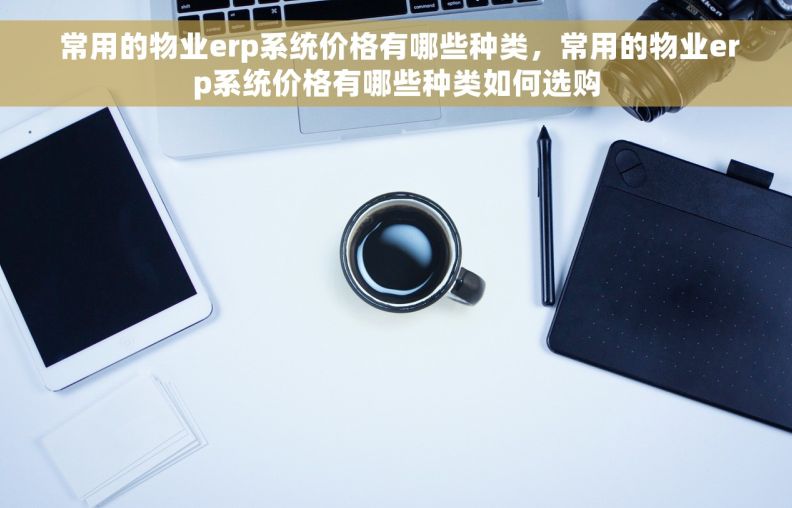  常用的物业erp系统价格有哪些种类，常用的物业erp系统价格有哪些种类如何选购