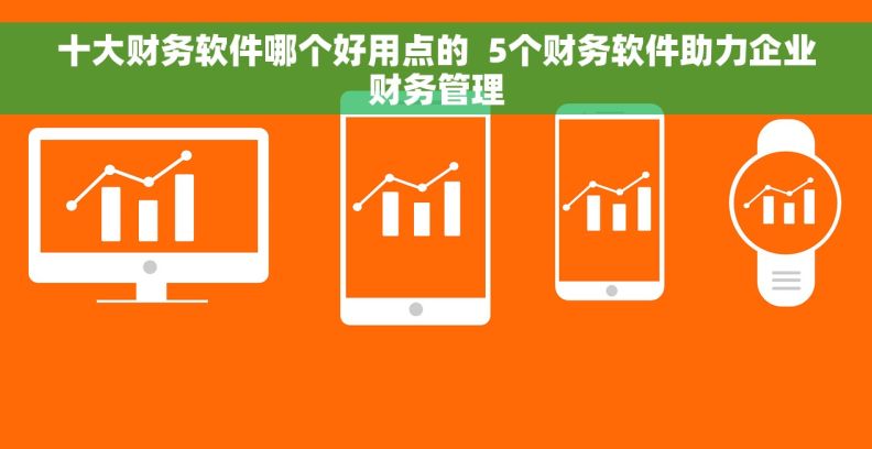 十大财务软件哪个好用点的  5个财务软件助力企业财务管理
