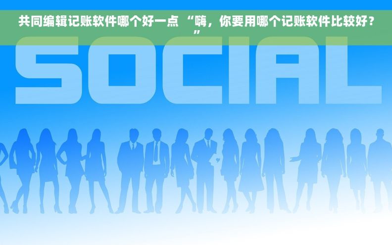 共同编辑记账软件哪个好一点 “嗨，你要用哪个记账软件比较好？”